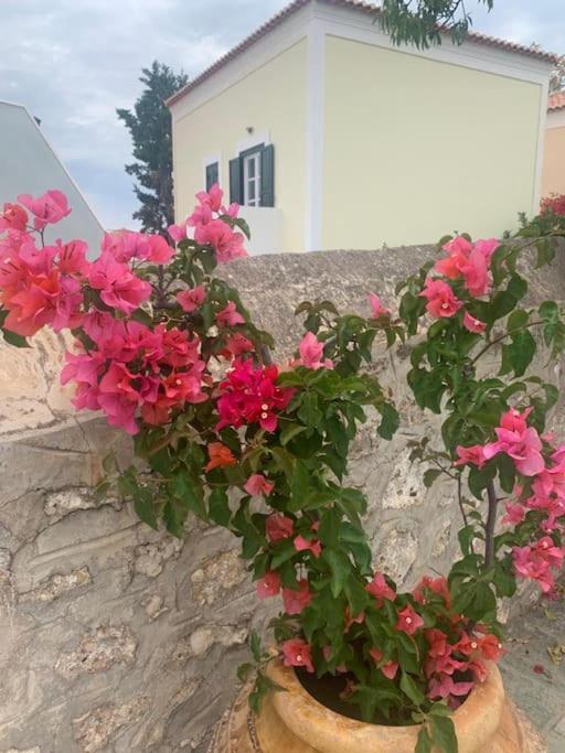 Villa 1853, Spetses Ground Floor Bagian luar foto