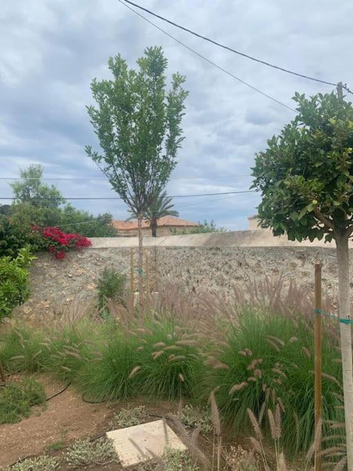 Villa 1853, Spetses Ground Floor Bagian luar foto