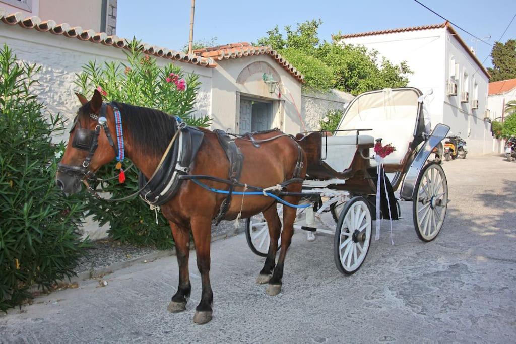 Villa 1853, Spetses Ground Floor Bagian luar foto